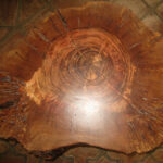 mesa de tronco de arbol
