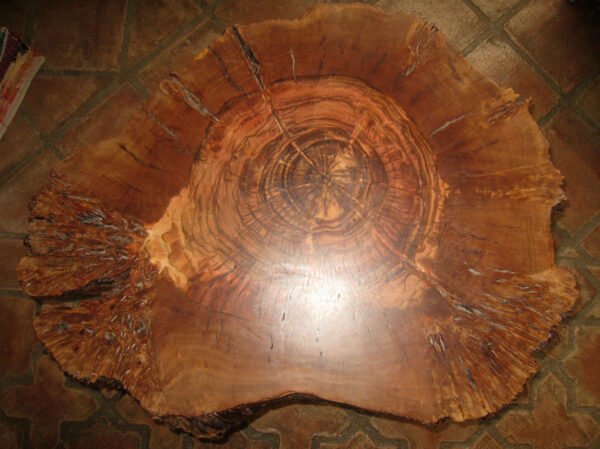 mesa de tronco de arbol