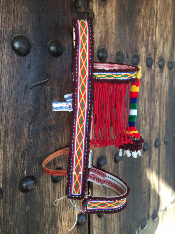 Jáquima de cuero artesanal bordada con borla